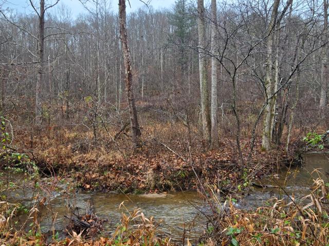 Land for sale in Powell, Kentucky