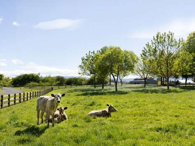 Property for sale in Matamata, Waikato