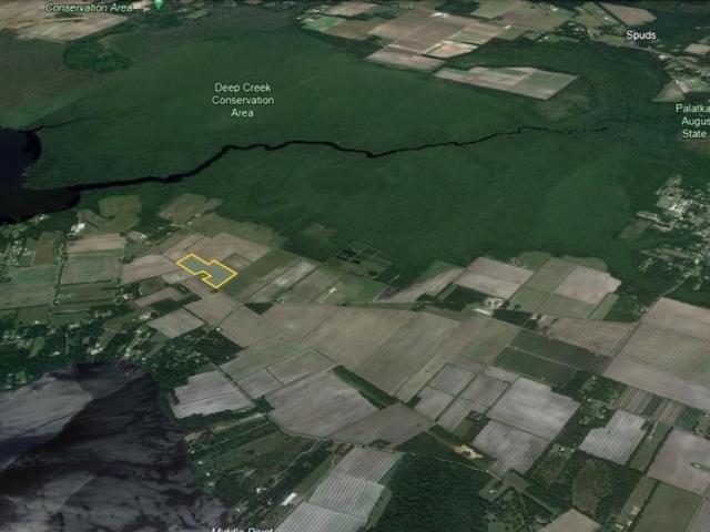 Land for sale in East Palatka, Florida