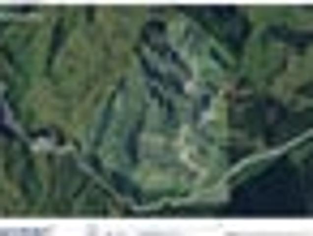 Land for sale in Waikato