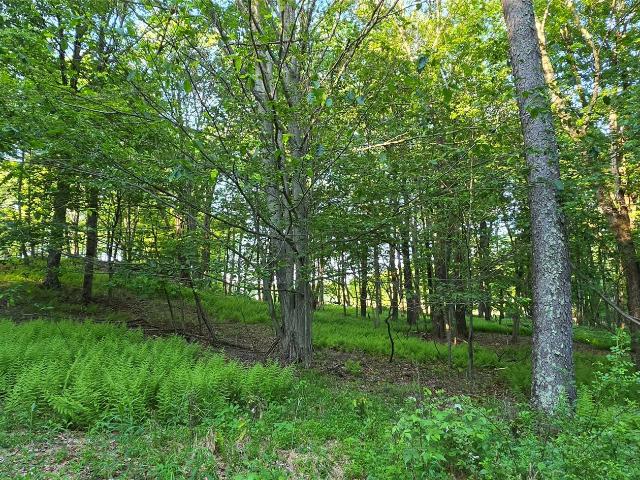 Land for sale in Bethel, New York