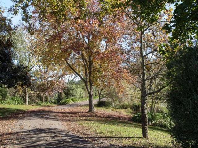 Property for sale in Awhitu