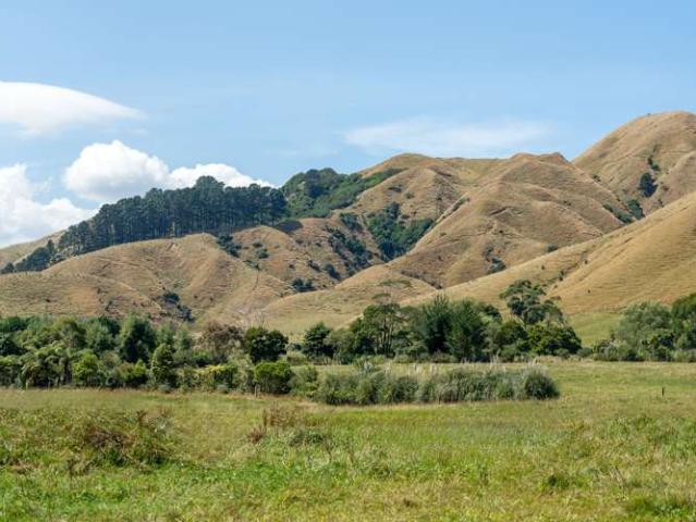 Property for sale in Te Horo, Wellington