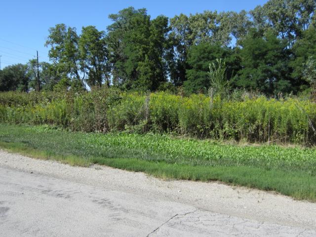 Land for sale in Darien