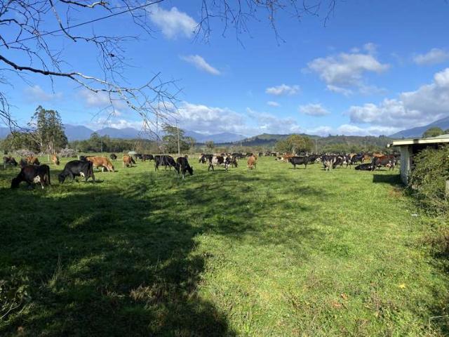 Property for sale in Collingwood, Tasman