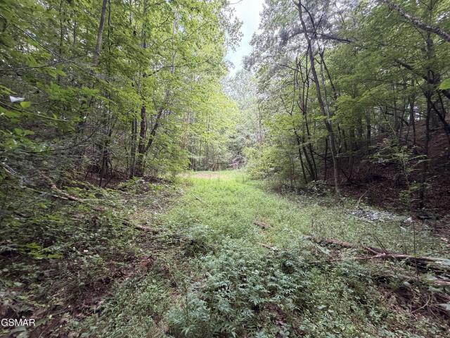 Land for sale in Tennessee