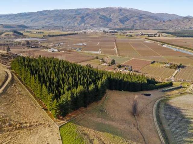 Land for sale in Otakou