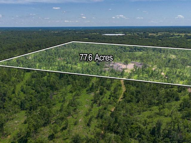 Land for sale in Goodman, Missouri