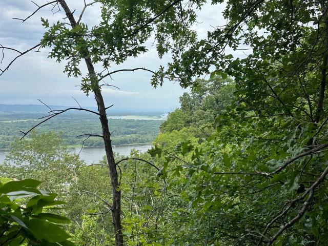 Land for sale in Alma, Buffalo County
