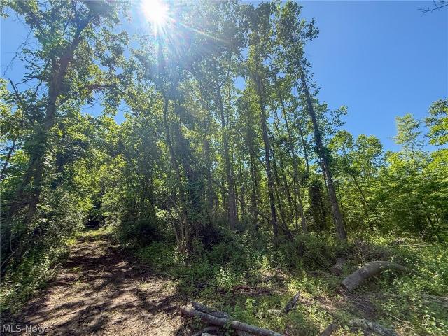 Land for sale in Mingo Junction, Ohio