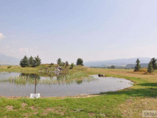 Land for sale in Swan Valley, Idaho