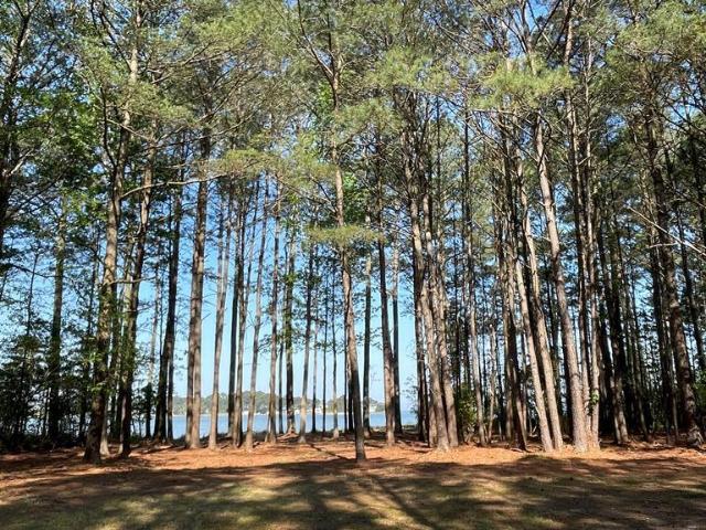 Land for sale in Virginia