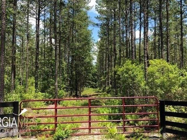 Land for sale in Saint George, Georgia
