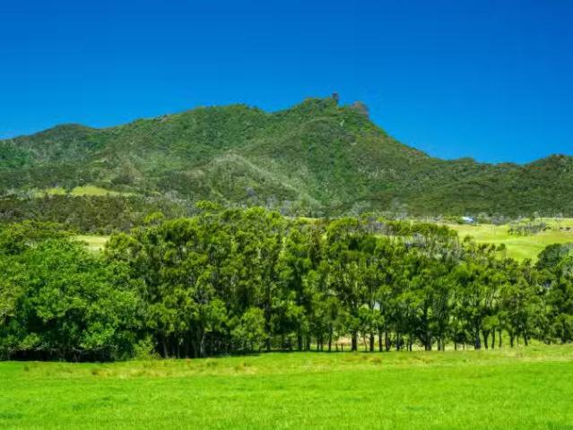 House for sale in Northland