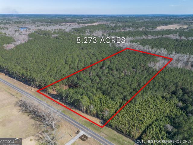 Land for sale in Dodge, Georgia