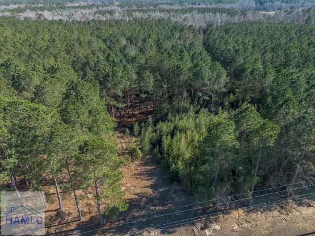 Land for sale in Dodge, Georgia
