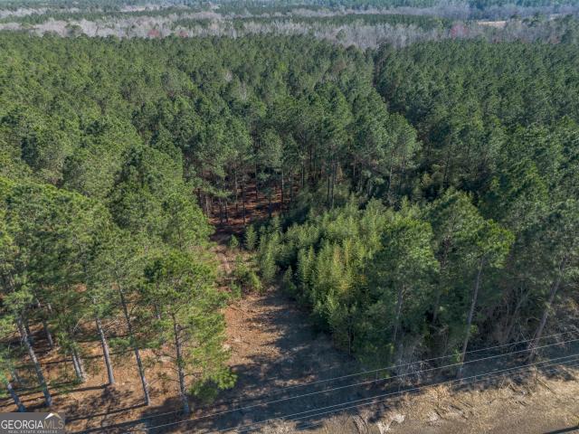 Land for sale in Dodge, Georgia