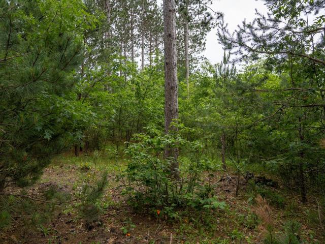 Land for sale in Wisconsin