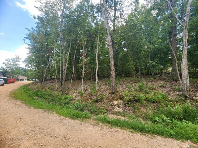 Land for sale in Ark