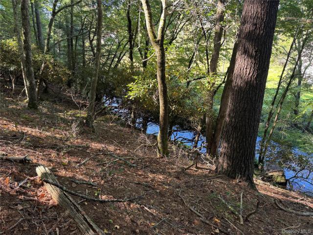 Land for sale in Town of Bethel, Sullivan County
