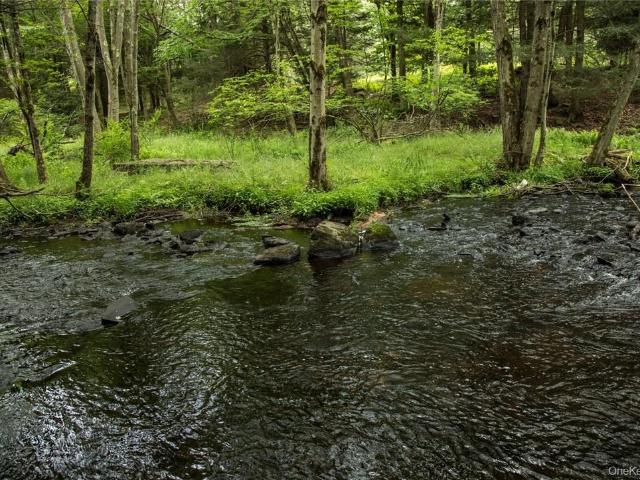Land for sale in Bethel, New York