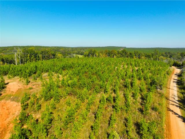 Land for sale in Calhoun Falls, Abbeville County