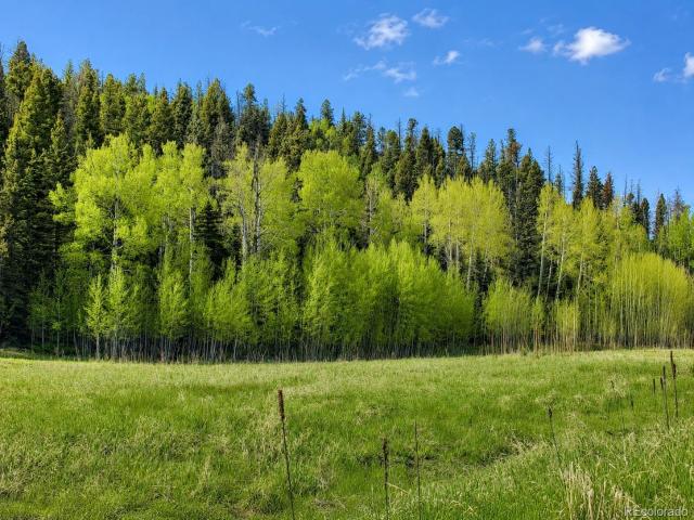 Land for sale in Westcliffe, Custer County