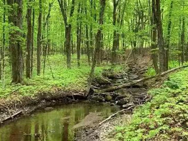 House for sale in Minden Hills, Ontario