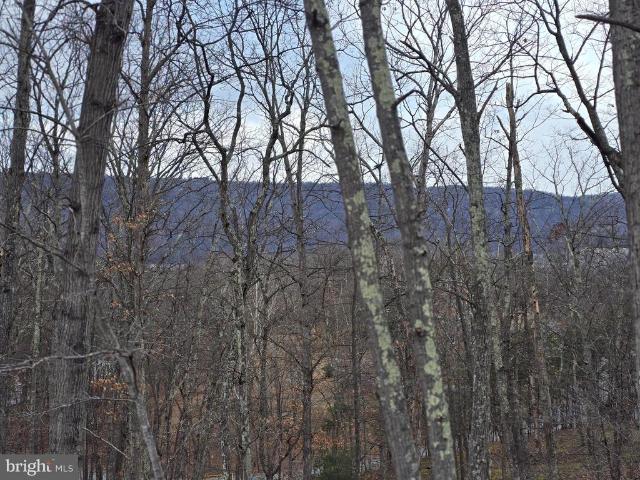 Land for sale in Romney, West Virginia