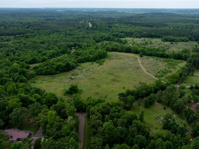 Land for sale in Avinger, Texas