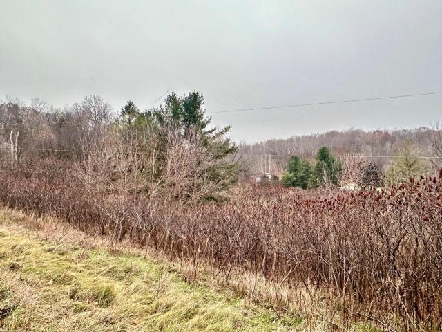 Land for sale in Wisconsin