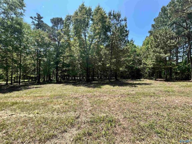 Land for sale in Waterhouse, Cedar Bluff