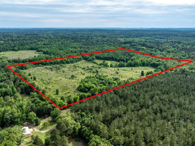 Land for sale in Avinger, Texas