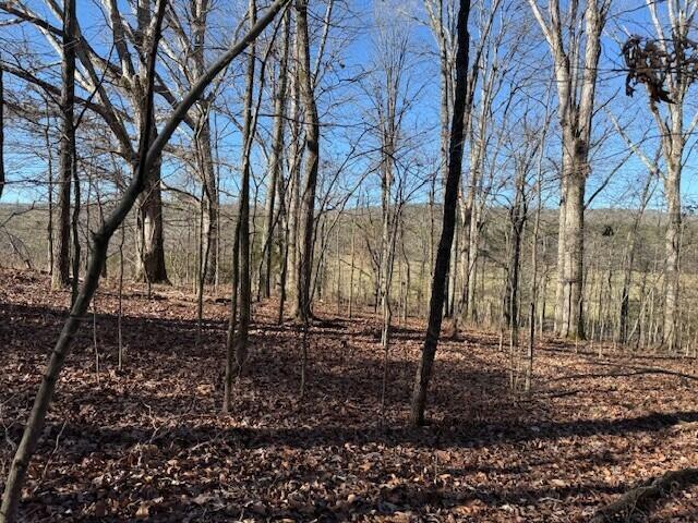 Land for sale in Valley Head, Alabama