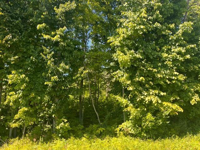 Land for sale in Saint Croix, Wisconsin