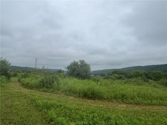 Land for sale in Dansville, New York