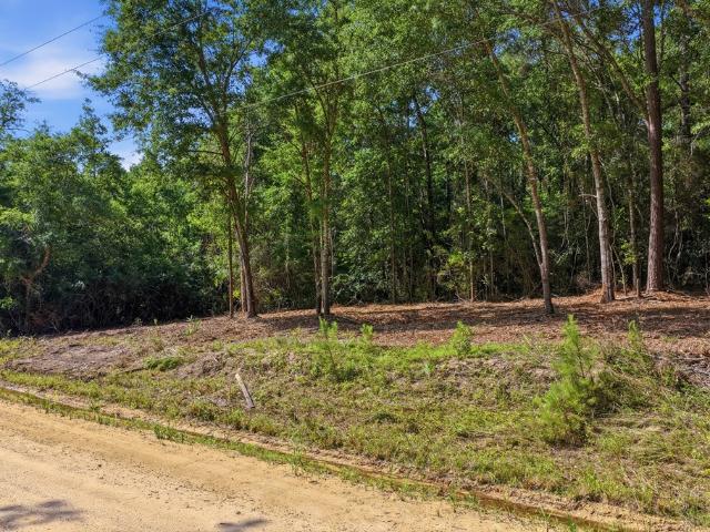 Land for sale in Opp, Alabama