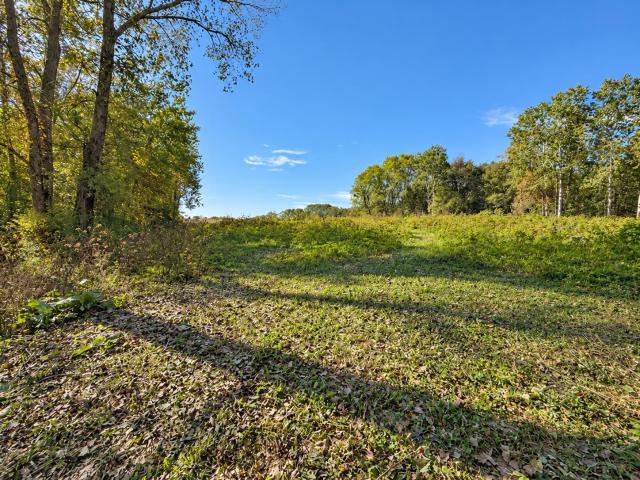 Land for sale in Black Earth, Dane County