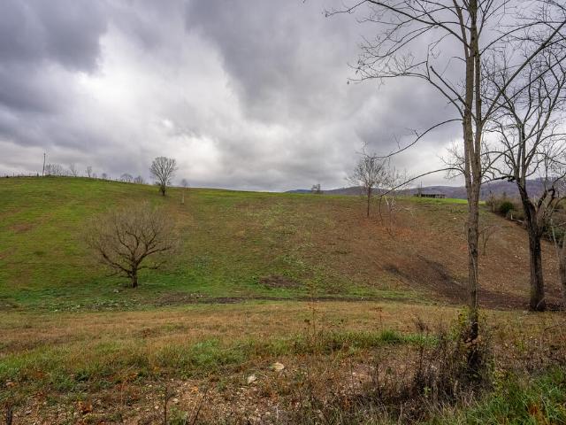Land for sale in Virginia
