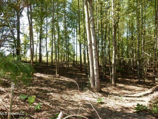 Land for sale in Tate, Mississippi