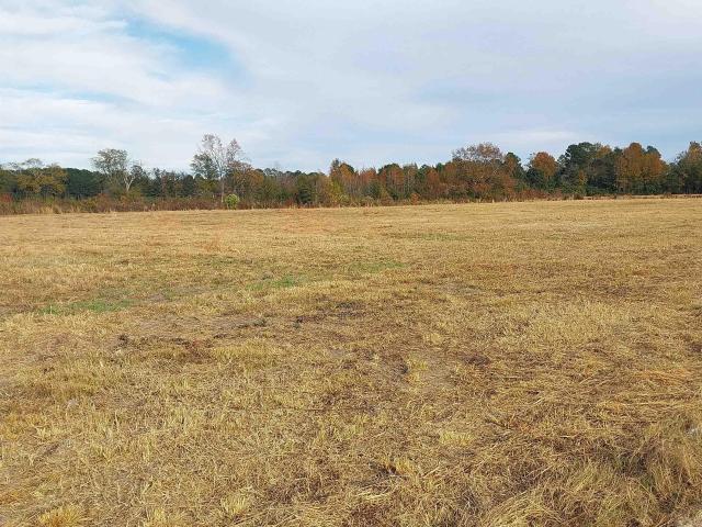 Land for sale in Mullins, South Carolina