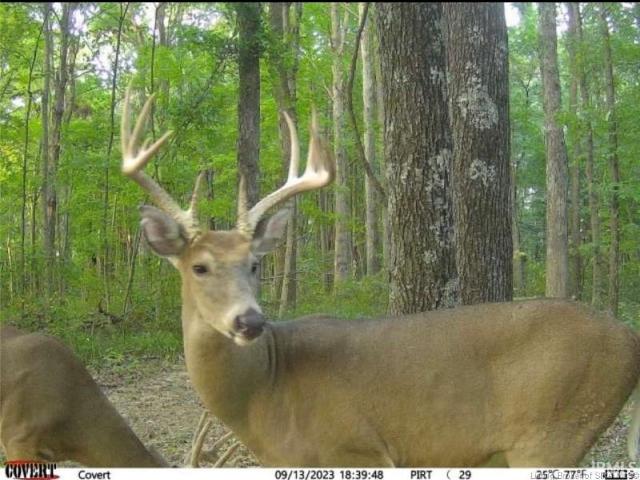 Land for sale in Cannelton, Indiana