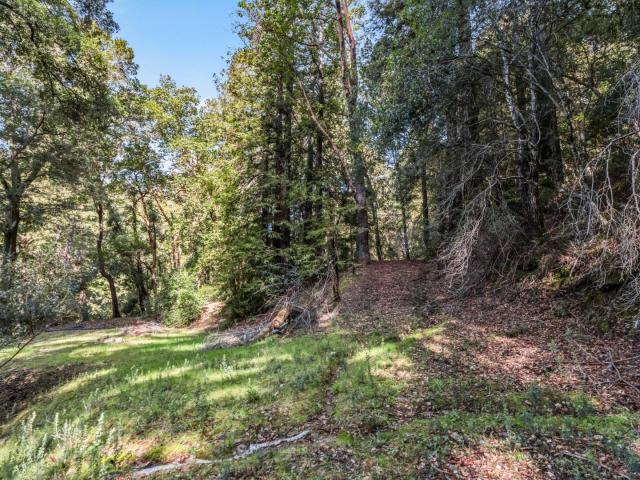 Land for sale in Felton