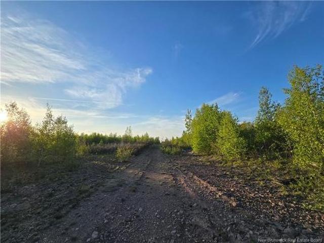 Land for sale in Studholm, New Brunswick