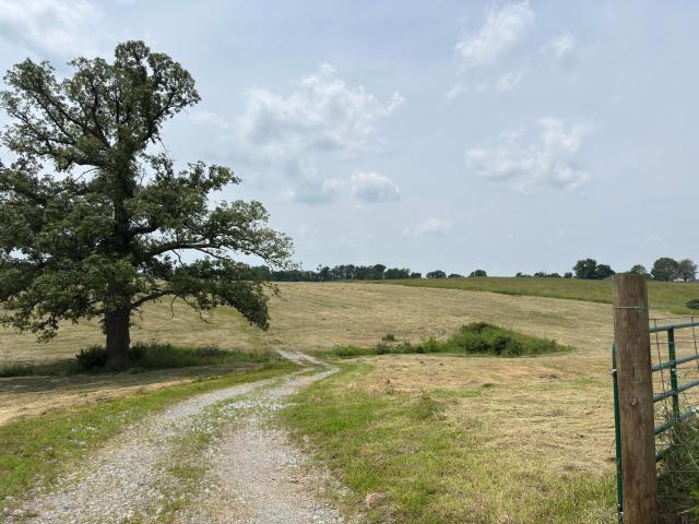 Land for sale in Nicholasville Land for sale in Nicholasville