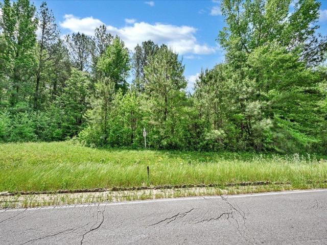 Land for sale in Falkville, Alabama