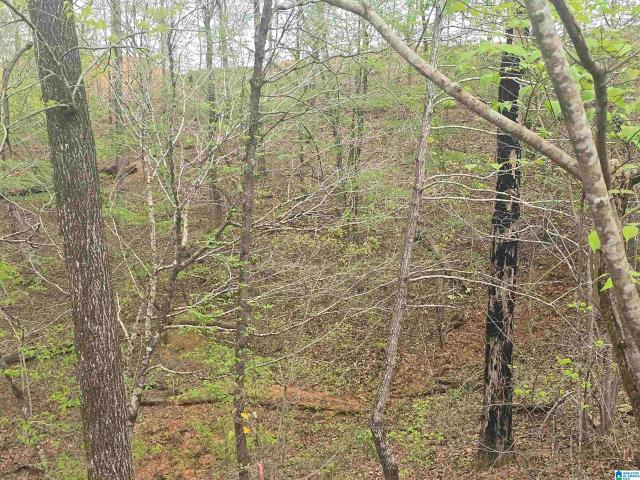 Land for sale in Coosa, Alabama