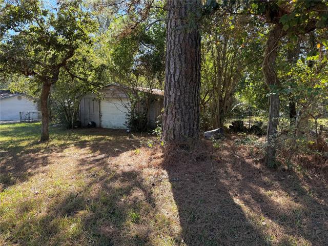 Land for sale in Magnolia, Texas