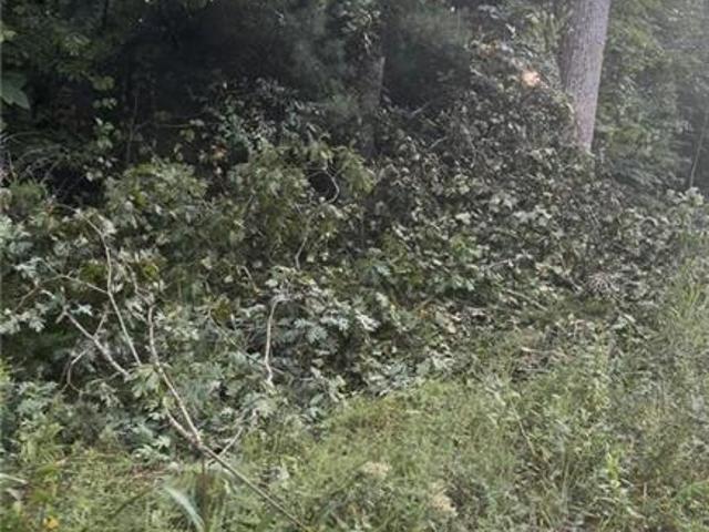Land for sale in Wilkesboro, North Carolina
