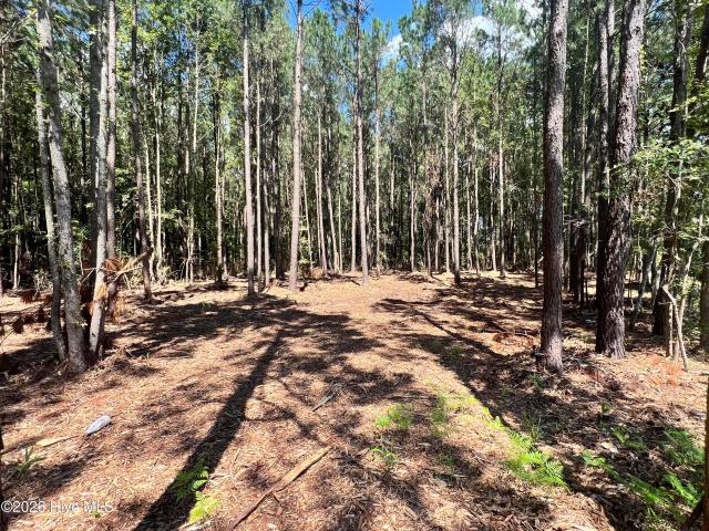 Land for sale in Belhaven, Beaufort County